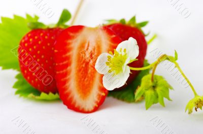 Strawberries and flowers on white background. Focus on the flowe