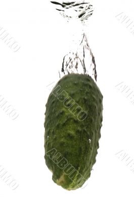 cucumber in water close up