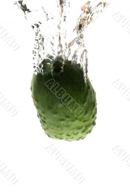 cucumber in water closeup on white cucumber in water closeup on white