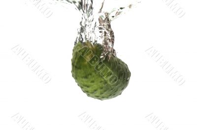 cucumber in water closeup cucumber in water closeup