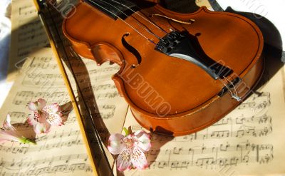 Violin on music sheet