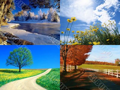 seasons collection seasons collection