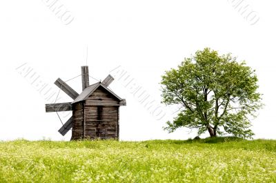 old windmills and a lonely tree old windmills and a lonely tree