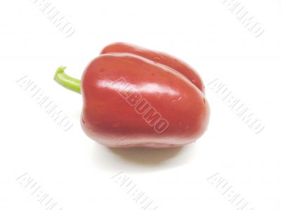 Red pepper in Florida