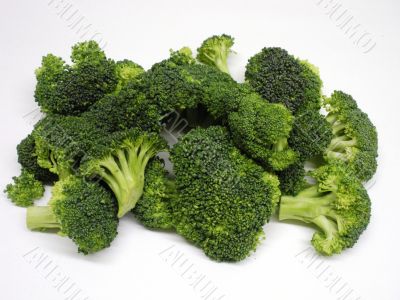 Broccoli in Florida