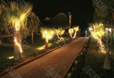 Road to sea beach at night