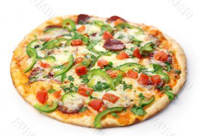 pizza / white background