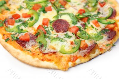 pizza / white background