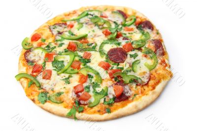 pizza / white background