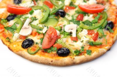 pizza / white background