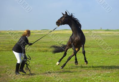 girl trains the horse