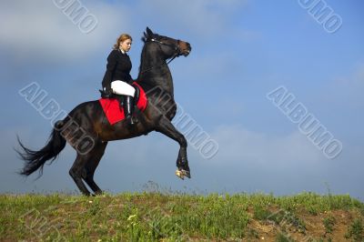 girl trains the horse