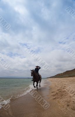 Beach Gallop / summer freedom