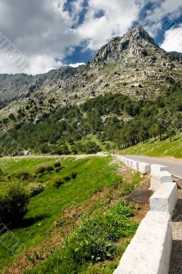 Mountain range of Grazalema ( Cadiz )