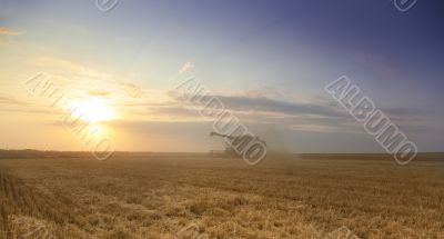 Harvest time