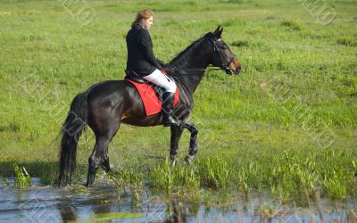 horsewoman