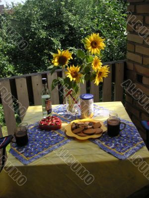 morning meal and sunflowers