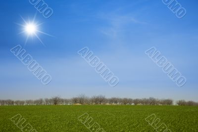 Green fields and the blue sky