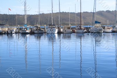 Row of yachts at the harbor