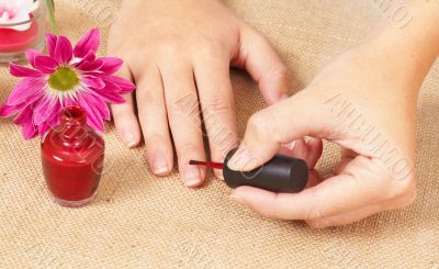 Hands of a caucasian woman with manicure