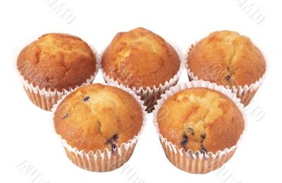 Blueberry muffins on white Blueberry muffins on white