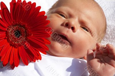 Small newborn baby with a flower