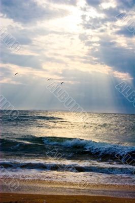 Sea landscape Sea landscape