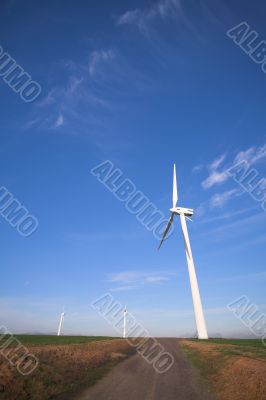 Wind powered turbine