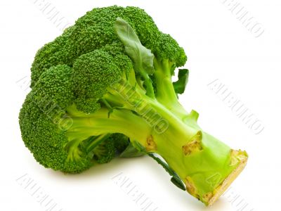 broccoli broccoli