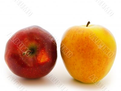 apples