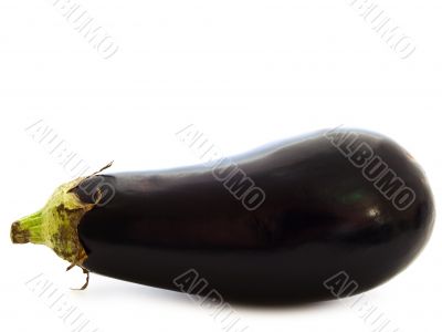 aubergine