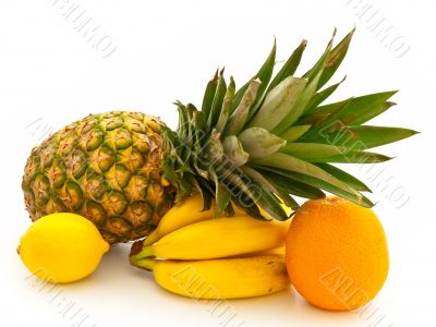 fruits
