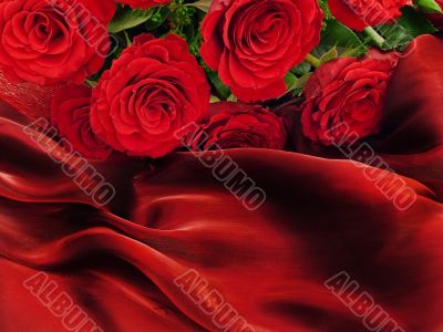 Red roses on vinous fabric