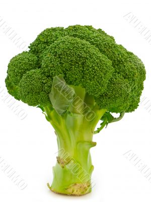 broccoli