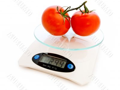 tomatoes at scale