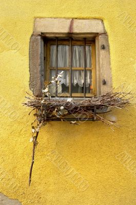 Country window