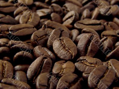 coffee beans