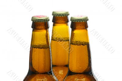 Bottles of Beer