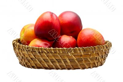 Basket full of fresh peaches isolated on white background