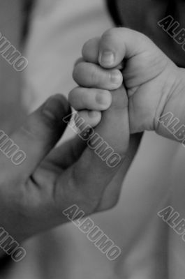 Baby hold mother finger