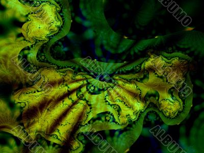 abstract wallpaper abstract wallpaper