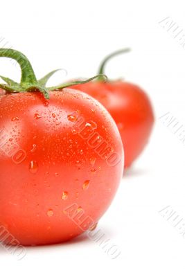 tomato wet
