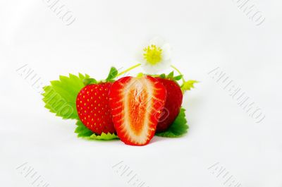 Strawberries and flowers on white background