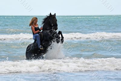 rearing horse in the sea