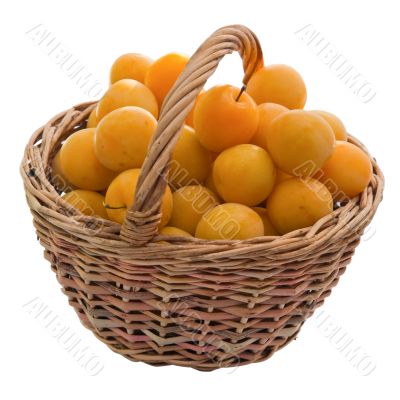 Cherry plum in a basket