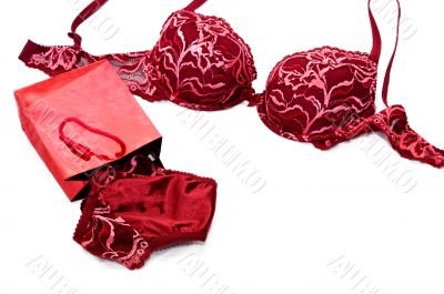 Red lace silky lingerie