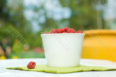 red raspberry