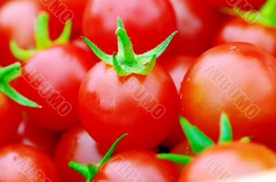 Cherry tomatoes close-up.