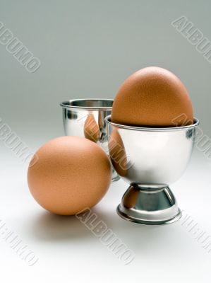 Chicken egg in stand