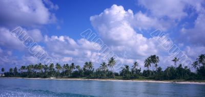 Saona island coastline -Dominican republic